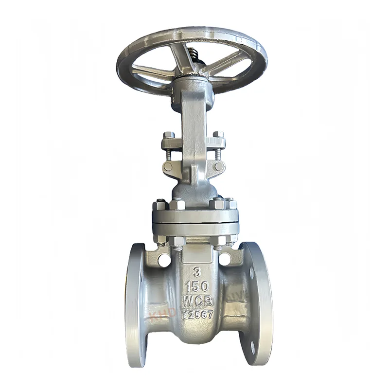 Carbon Steel ANSI vavahady Valve