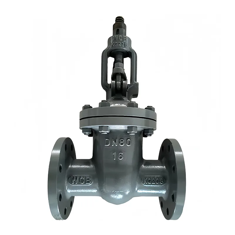 Valve vavahady Flange Carbon Steel