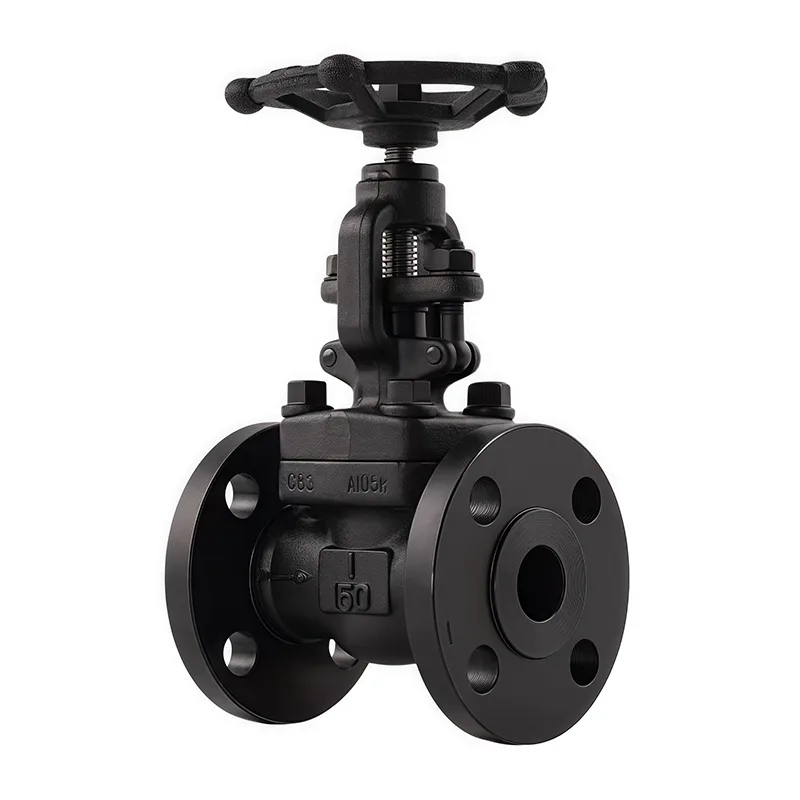 Valve Globe Flanged Forged