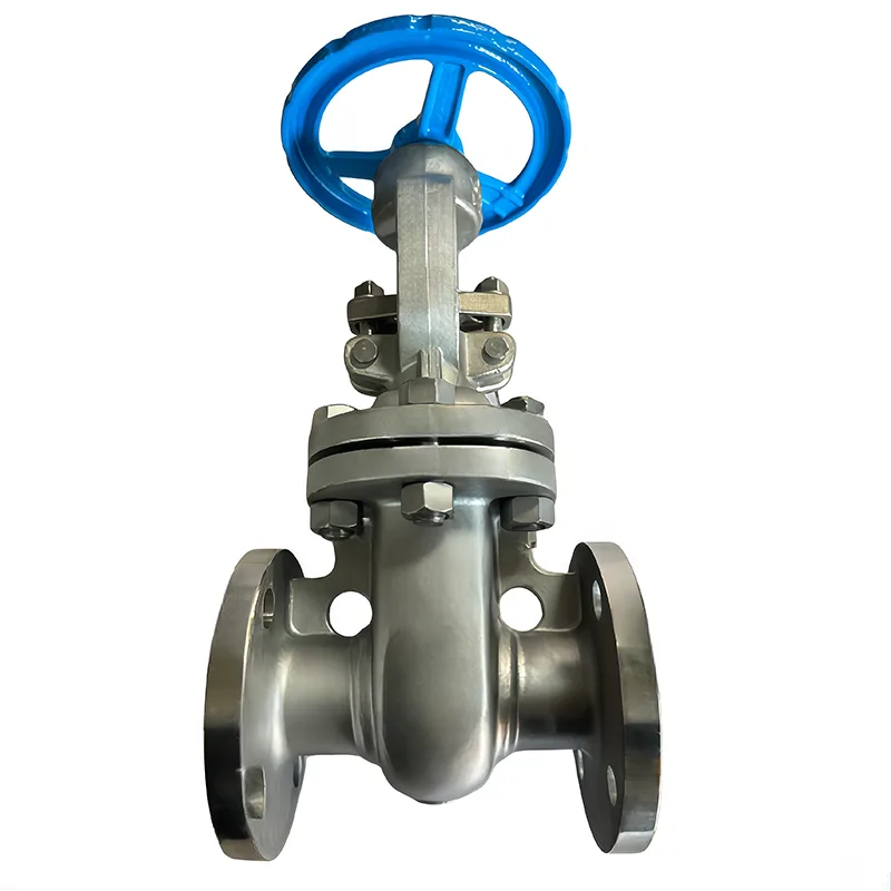 Stainless Steel API Flanged vavahady Valve